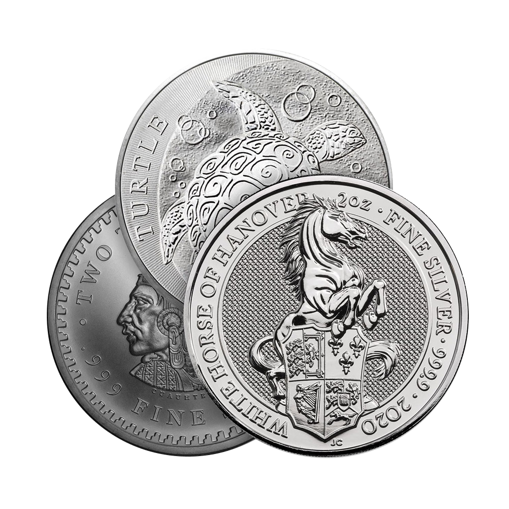 2 oz Silver Coin / Round (Varied Condition, Any Mint)