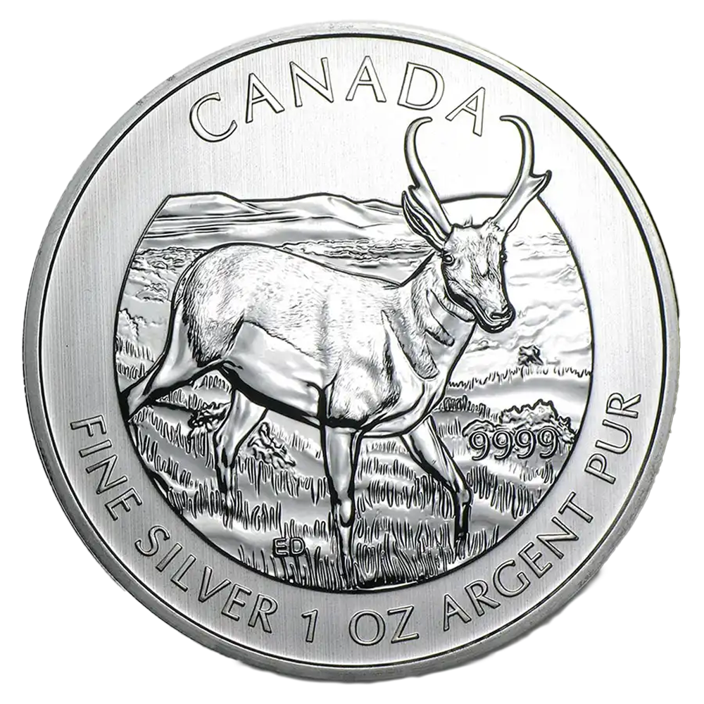 Canadian Wildlife Series - Silver Pronghorn Antelope
