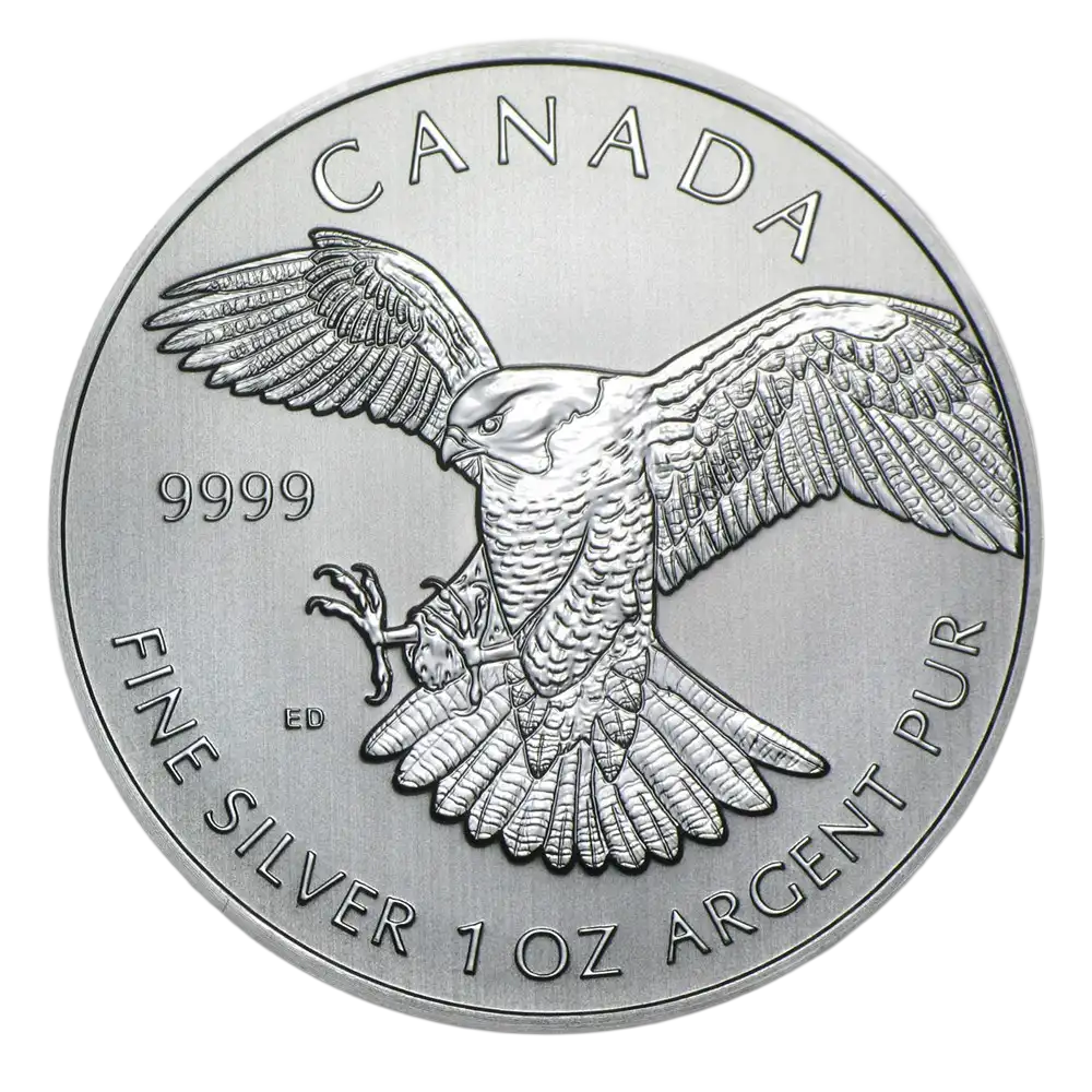 Birds of Prey Series - Silver Peregrine Falcon