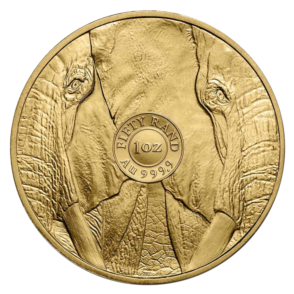 1 oz South African Big 5 Gold Elephant Coin - Obverse