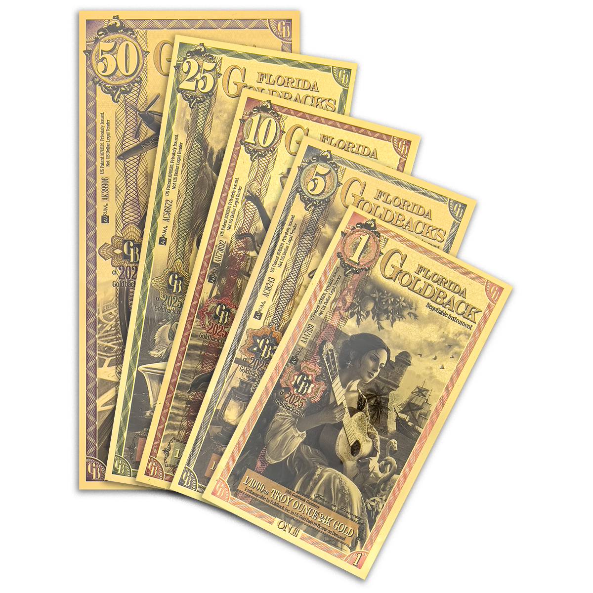 5 Piece Florida Goldback Gold Note Set