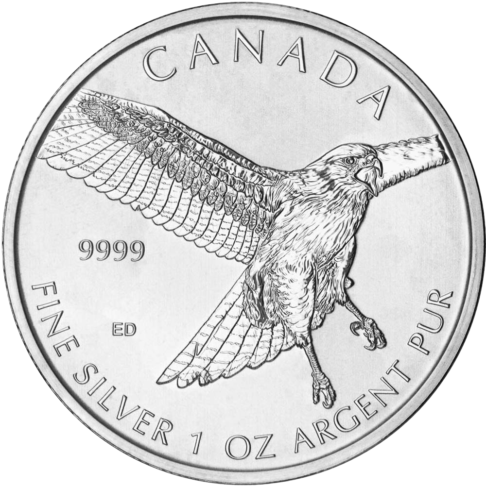 Birds of Prey Series - Silver Red-Tailed Hawk | Texas Precious Metals
